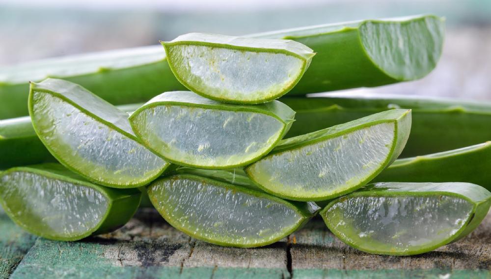 Herbalife Herbal Aloe Concentrate Drink Herbalife Herbal Aloe Concentrate Drink